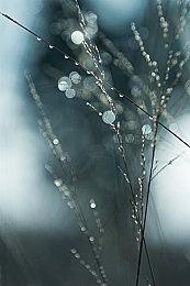 当开业遇上双十一，百脑汇携手樂之科技潮品店放大招